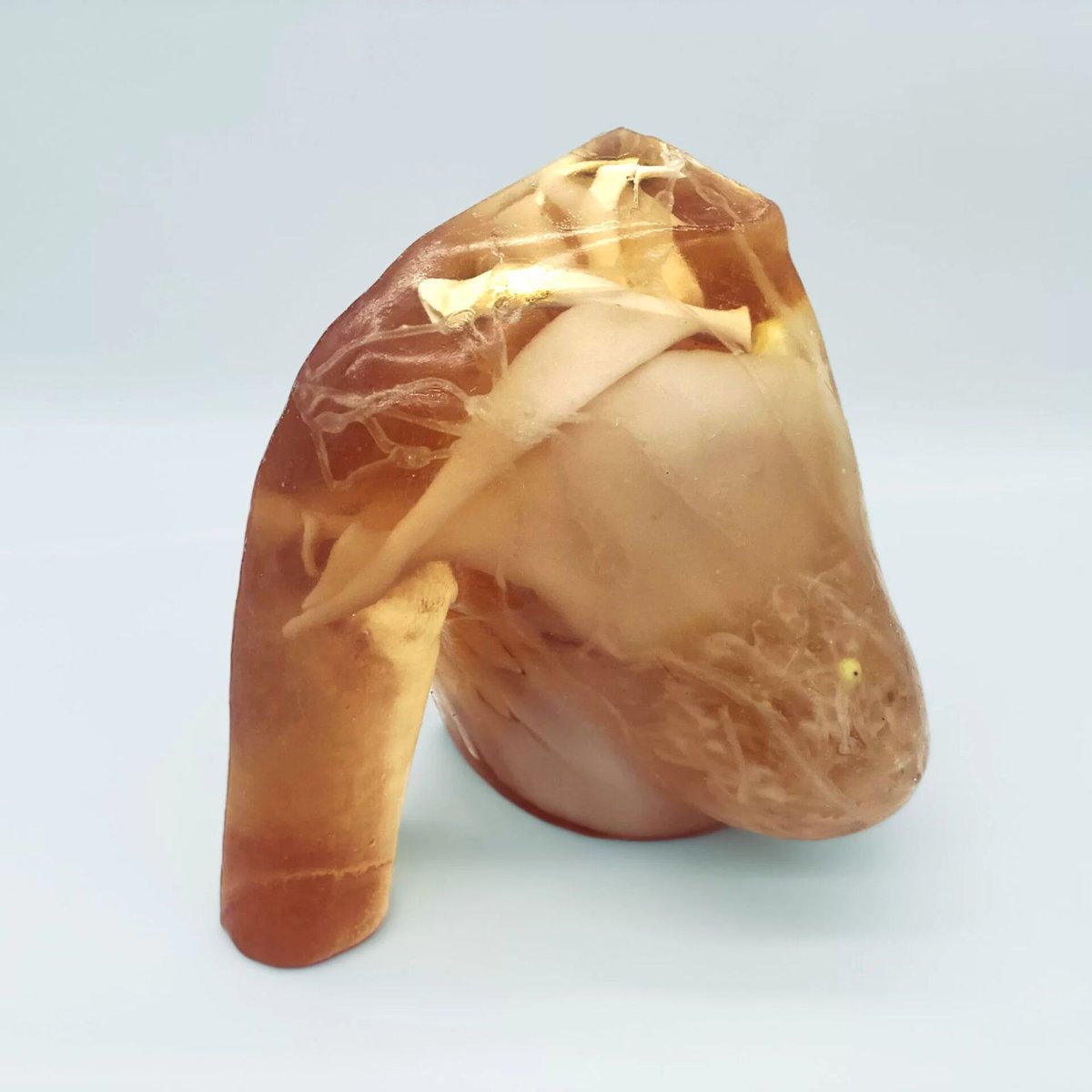 tpslab's tweet photo. Enhance your medical training with our life-sized Adult Breast Phantom. Crafted with our patented bone-mimicking material, and realistic synthetic organs, it is designed to provide unparalleled realism under radiation scans. 
https://t.co/OJCGd23hdP #mammograms https://t.co/COyMSVvd4C