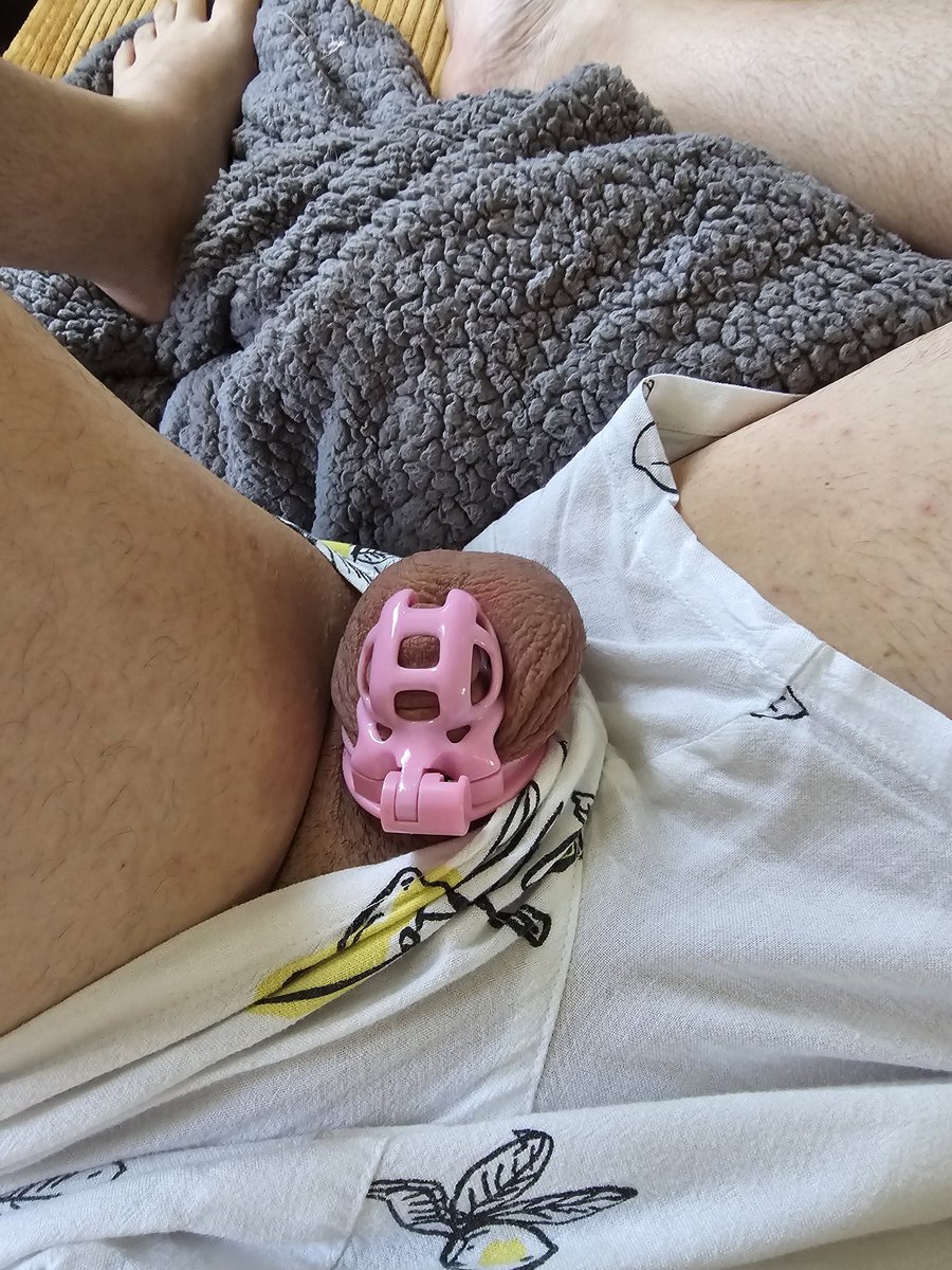CagedSub207's tweet photo. #CageCheck day 29. My balls are sensitive and I feel like every time I even look at them I get blue balls. 😭 @CallMeSirK #TeamLocked #ChastityClub #Fªggot #ChastityGay #ChastityFªg #PinkSub #ForeverHorny https://t.co/YcrqxLjQ8B