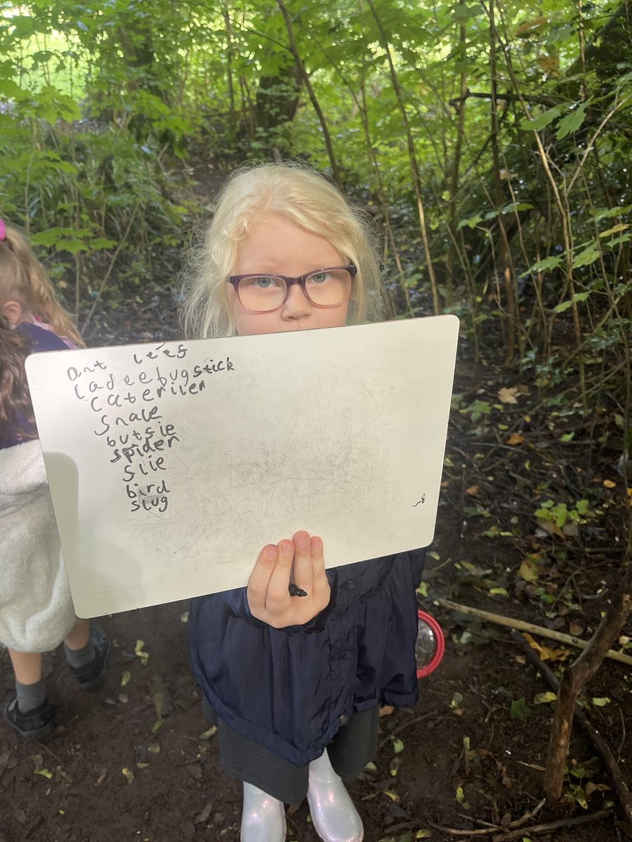 Bridgewater Park Forest School tweet media