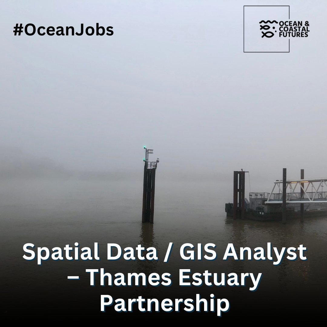 Ocean and Coastal Futures (OCF) (@cf_conf) on Twitter photo 🔔#job: Spatial Data/GIS Analyst – <a href="/ThamesEstPart/">Thames Estuary Partnership</a>
▪️Salary: £32k - £38k
▪️Location: Hybrid with London office
▪️Closes: 27 Oct
▪️Details👉cmscoms.com/?p=40846
Sign up for our #OceanJobs emails👉 bit.ly/3MiyV7iA
#hiring #vacancy 🔔#job: Spatial Data/GIS Analyst – <a href="/ThamesEstPart/">Thames Estuary Partnership</a>
▪️Salary: £32k - £38k
▪️Location: Hybrid with London office
▪️Closes: 27 Oct
▪️Details👉cmscoms.com/?p=40846
Sign up for our #OceanJobs emails👉 bit.ly/3MiyV7iA
#hiring #vacancy