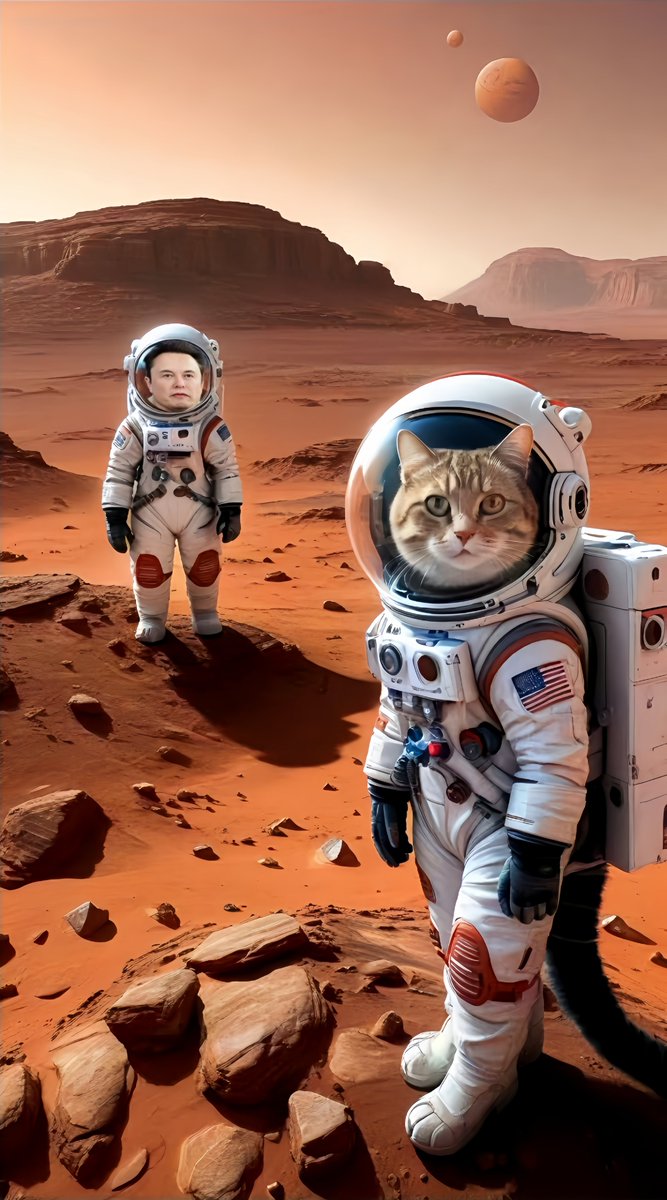 cateth_space's tweet photo. Elon Musk is constantly flying into deep space with his favorite #SpaceCAT 🐱 ! https://t.co/iBzse4cFFb