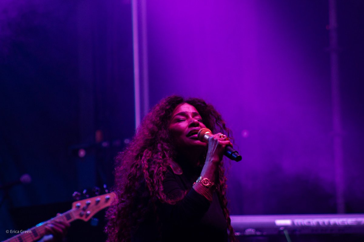 Erica thee Stallion 💜 tweet media