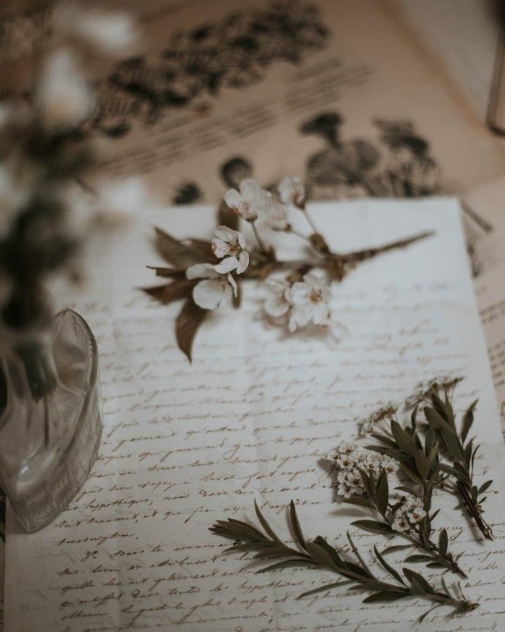 regencyspirit's tweet image. Letters 🕯