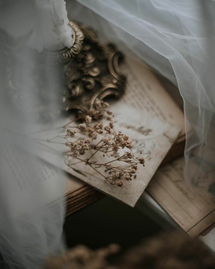 regencyspirit's tweet image. Letters 🕯