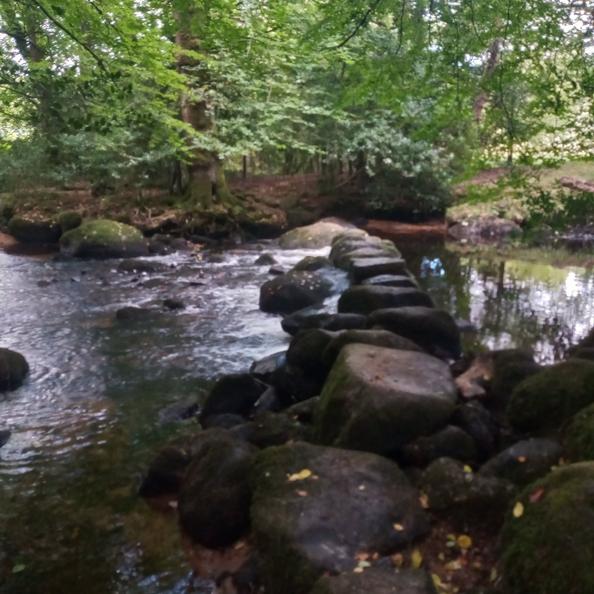 The wonderful okecha(1) #slowway between Okehampton and Chagford in the September sunshine on Dartmoor.