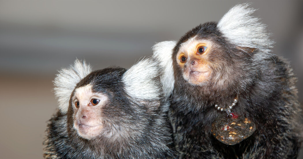 Brendan M. Lynch 🌻 tweet media