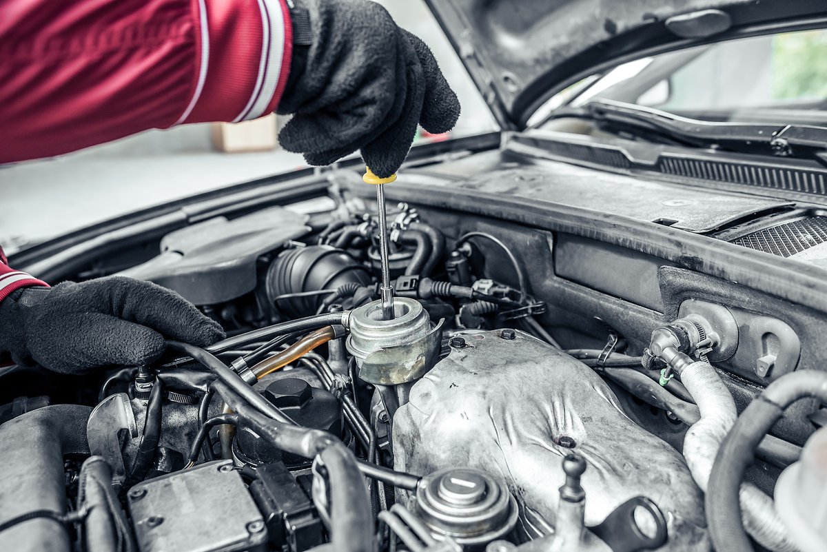 FredsWrenchouse's tweet image. Need help with a differential overhaul? Fred’s Wrenchouse can do it all. fredswrenchouse.net #TransmissionReplacement #TransmissionRepairs #CarBeltsAndHoses