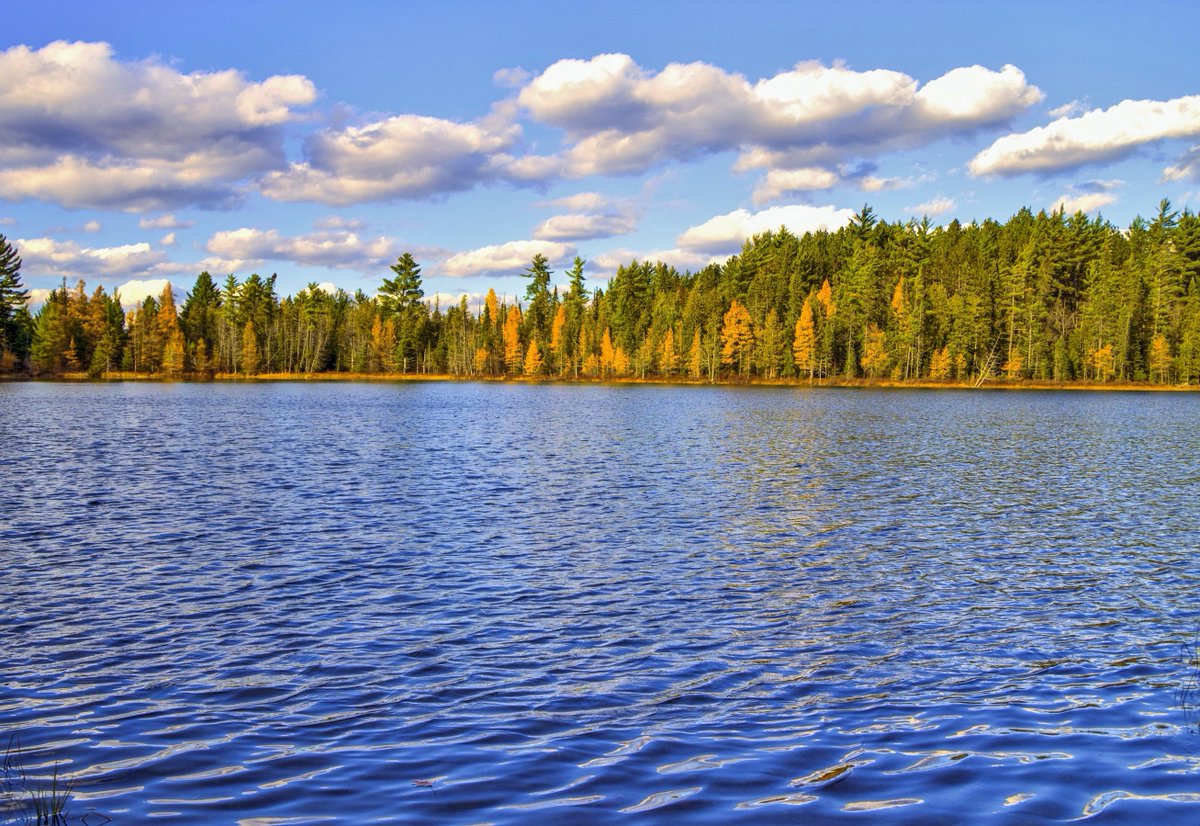 MichiganEGLE's tweet photo. Happy Pollution Prevention (P2) week!
Celebrate by finding ways to reduce, reuse, and recycle waste to protect our natural resources.♻️
https://t.co/UawK77luQU #P2Week https://t.co/w1DhacJHBl