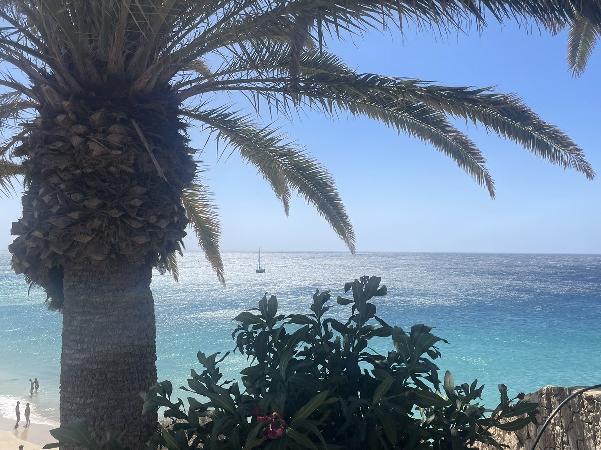 Ein liebsten Xandigrussi von mein 🩷, ausn Fuerteventanien. Sieht aus wie inne Karibien, isses aba nis👋🏼😁