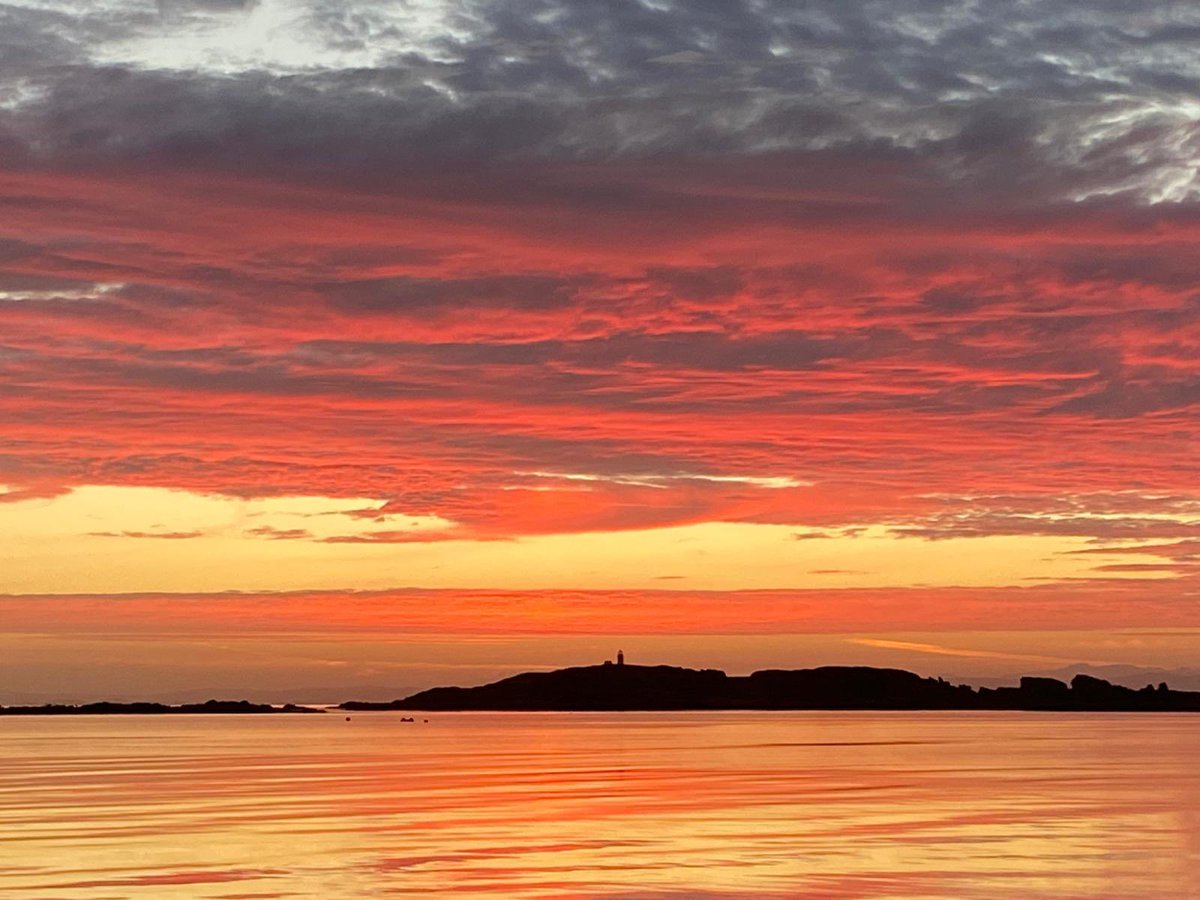 Islay Sea Adventures tweet media