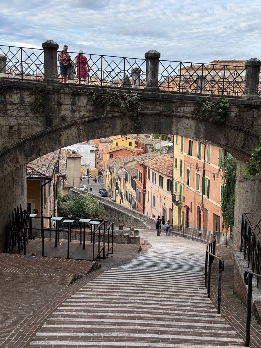 Teresa Ubide tweet media