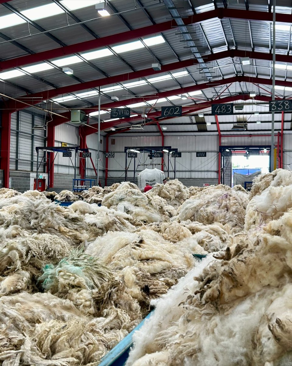 British Wool Farm tweet media