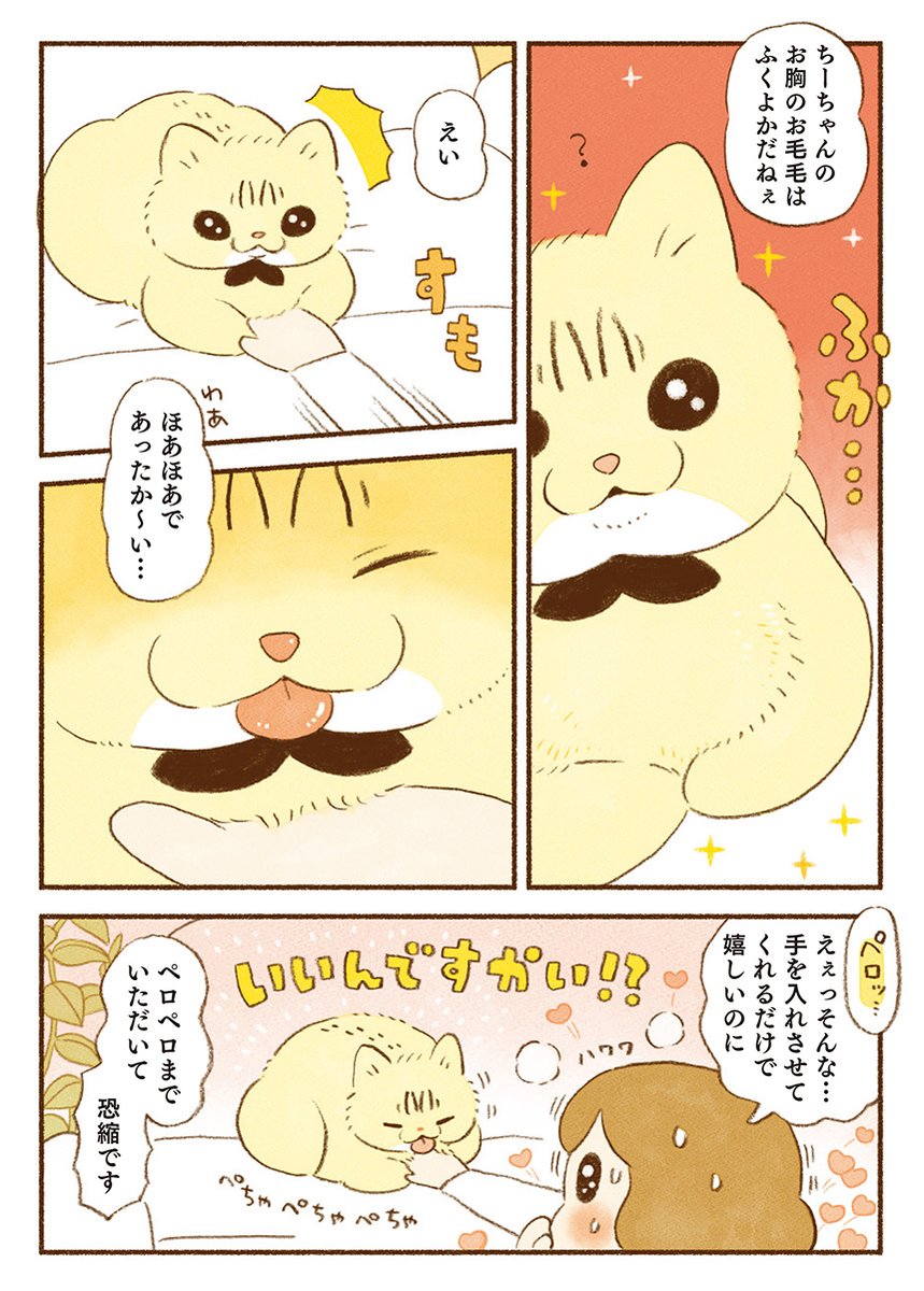 猫エッセイ
「魅惑のスキマ」 