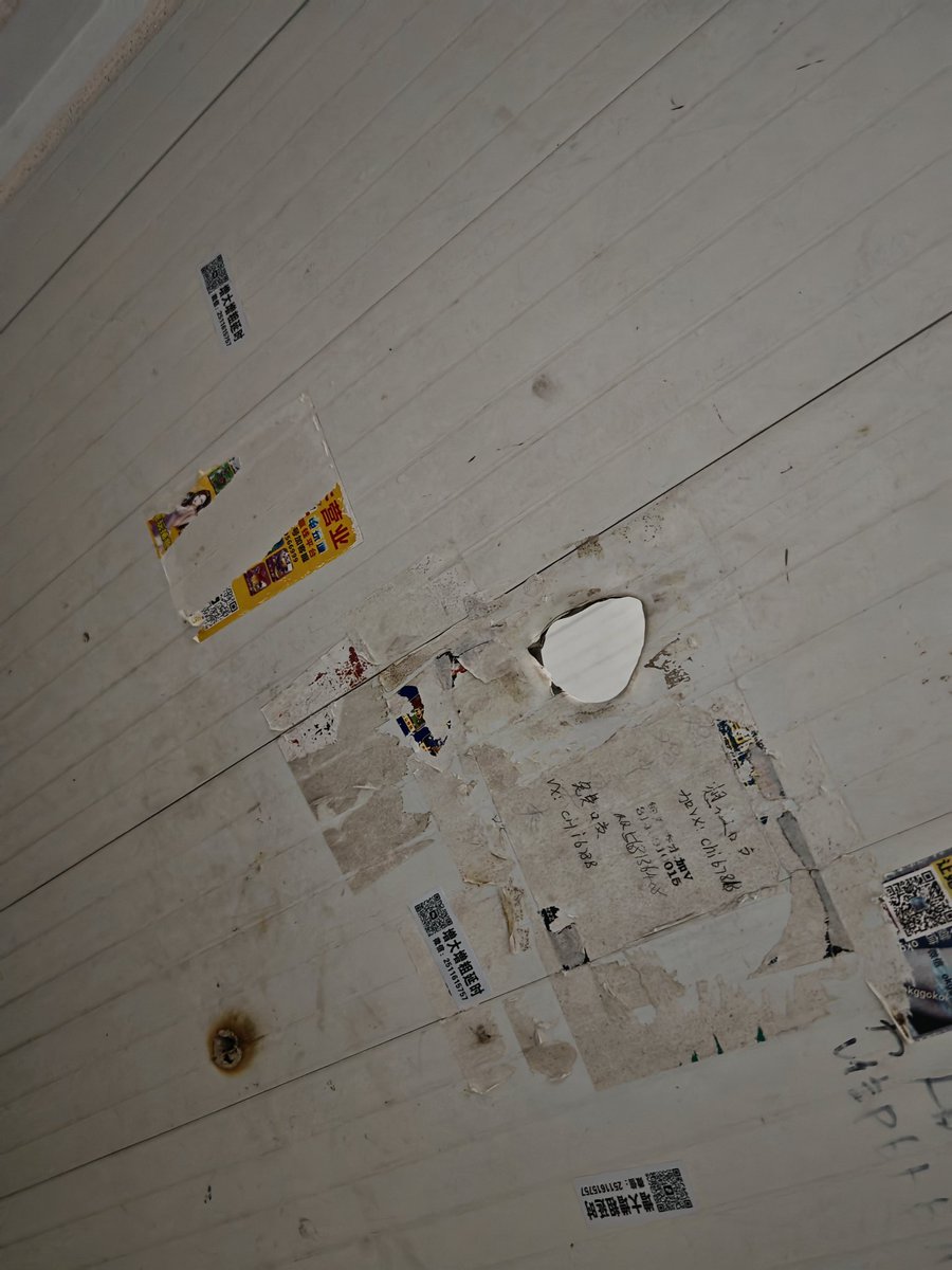 福州鸟洞 tweet media