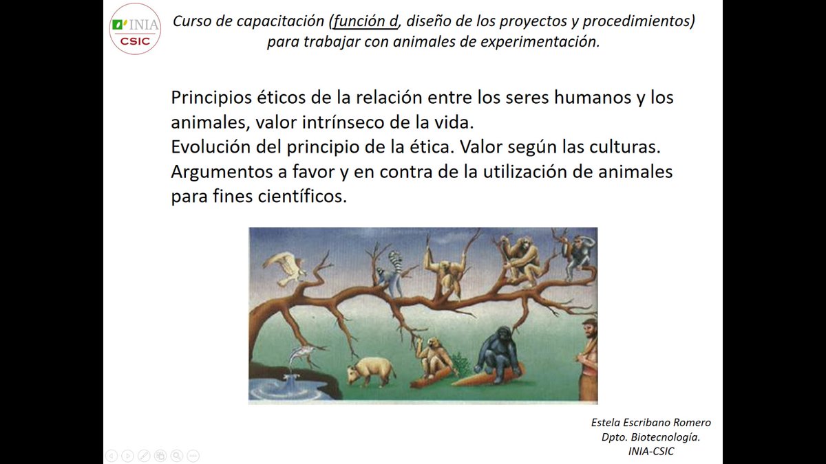Comenzado el curso de capacitación para utilización de animales de experimentación (función d) en <a href="/INIA_es/">INIA-CSIC</a> <a href="/CSIC/">CSIC</a>. Estela Escribano, de nuestro grupo, lo ha iniciado con una clase que presenta los principios éticos y los argumentos a favor y en contra. #Ciencia #etica