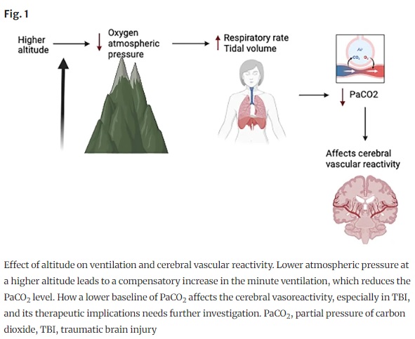 Neurocritical Care (@neurocritcarej) on Twitter photo Caceres et al: PaCO2 Association with Outcomes of Patients with Traumatic Brain Injury at High Altitude: A Prospective Single-Center Cohort Study
Link:ow.ly/8Xig50SII50
<a href="/neurocritical/">Neurocritical Care Society</a> #neurocritcare Caceres et al: PaCO2 Association with Outcomes of Patients with Traumatic Brain Injury at High Altitude: A Prospective Single-Center Cohort Study
Link:ow.ly/8Xig50SII50
<a href="/neurocritical/">Neurocritical Care Society</a> #neurocritcare