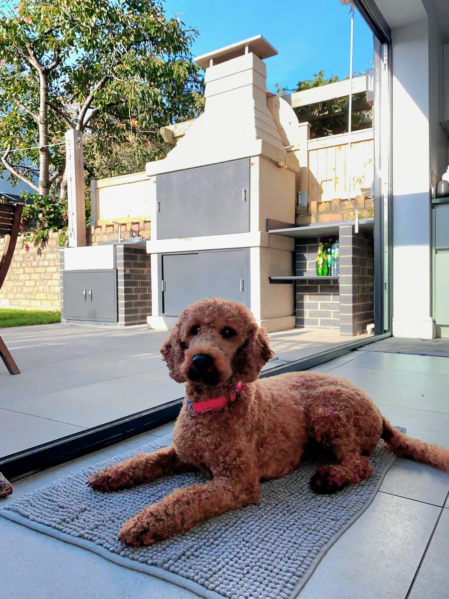ParrillaGauchaUK (@parrillasuk) on Twitter photo ๐ ๐ฎ๐ป'๐ ๐๐ฒ๐๐ ๐๐ฟ๐ถ๐ฒ๐ป๐ฑ ๐ถ Mocha also seems happy with the end result ๐ ๐ ๐ฅฉ๐ฅฉ๐ฅ๐ฅ
Beautiful outdoor kitchen incorporating our Moderno Parrilla Grill ๐
<a href="/DimitriHoutart/">Dimitri Houtart</a>
#OutdoorLiving #outdoorkitchen #parrillagrill #asado #cookingwithfire #bbq #MondayMotivation ๐ ๐ฎ๐ป'๐ ๐๐ฒ๐๐ ๐๐ฟ๐ถ๐ฒ๐ป๐ฑ ๐ถ Mocha also seems happy with the end result ๐ ๐ ๐ฅฉ๐ฅฉ๐ฅ๐ฅ
Beautiful outdoor kitchen incorporating our Moderno Parrilla Grill ๐
<a href="/DimitriHoutart/">Dimitri Houtart</a>
#OutdoorLiving #outdoorkitchen #parrillagrill #asado #cookingwithfire #bbq #MondayMotivation