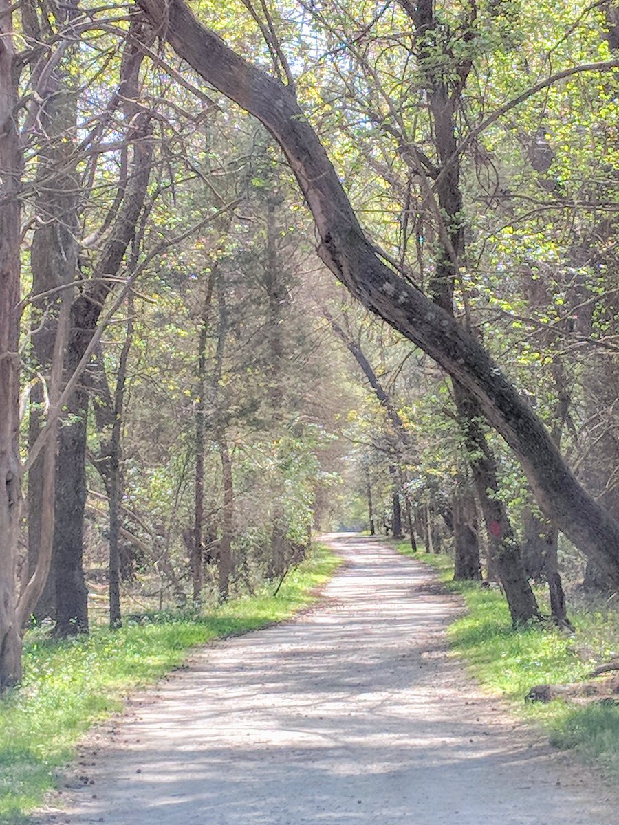 billiesucher's tweet photo. ▪️Are you pursuing a career / job you're genuinely interested in, or did someone else want this path for you?
#MondayMotivation
#jobsearch #careers #transitions
#BeTrueToSelf
#DoYourDream https://t.co/ehTb6iS0Ai
