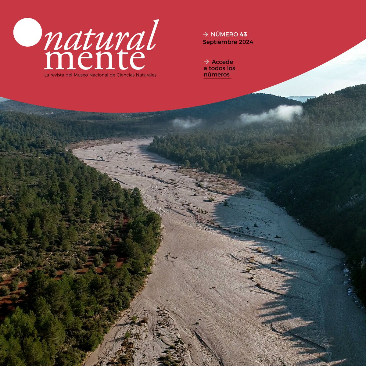 mncn_csic's tweet photo. ¡Ya podéis leer #NaturalMente 43! Este número está dedicado a los ríos, cuerpos de agua esenciales en nuestro planeta. 🌍 La restauración del Manzanares, las especies invasoras acuáticas, nuestras nuevas exposiciones o @Mosquito_Alert y mucho más... aquí👉https://t.co/WGxZp1buZH https://t.co/w1q2CAhluS