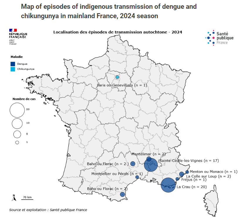 The number of locally acquired #dengue cases in #France now 46