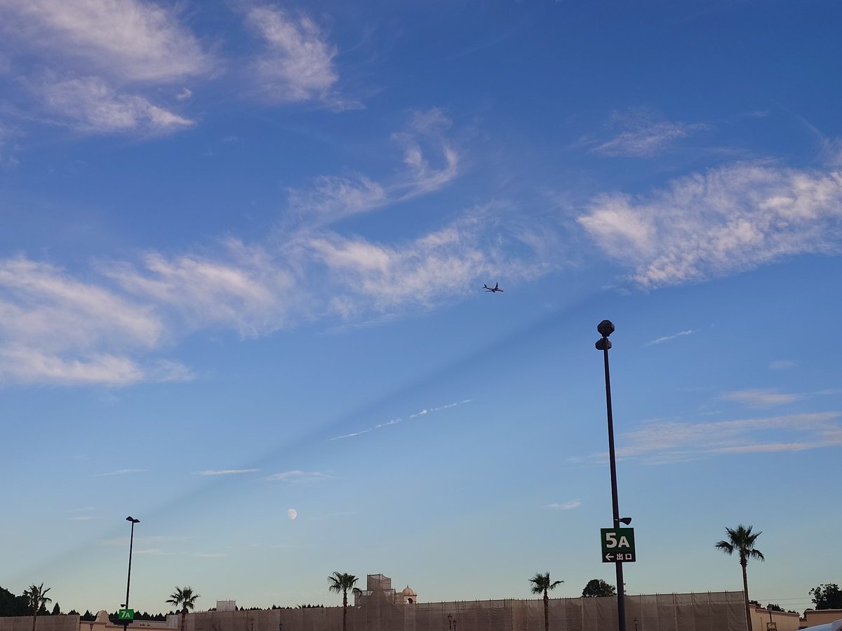 野原 惇 tweet media