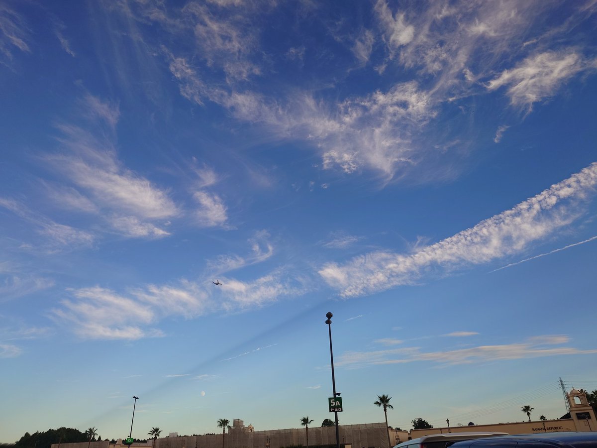 野原 惇 tweet media