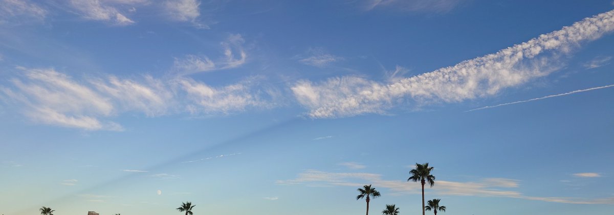 野原 惇 tweet media