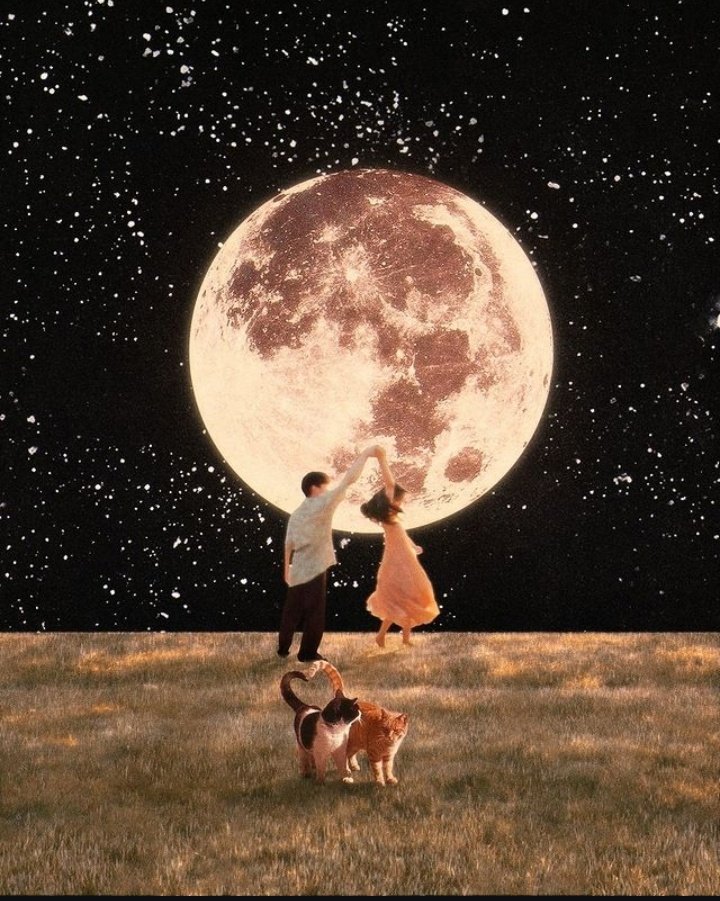 dejie__'s tweet photo. Dancing in the Moonlight ✨️ https://t.co/k2hq8UieDV