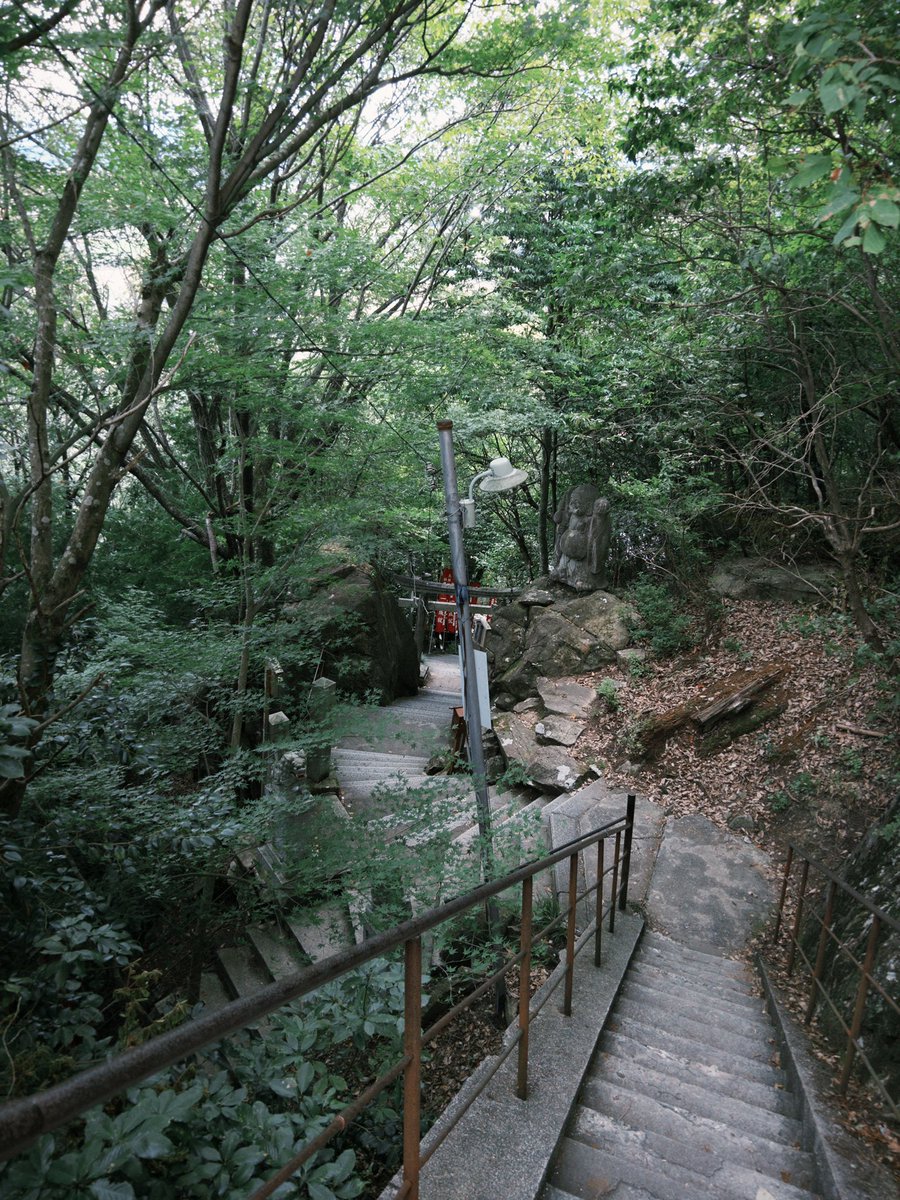 FlyQ99's tweet image. 夏