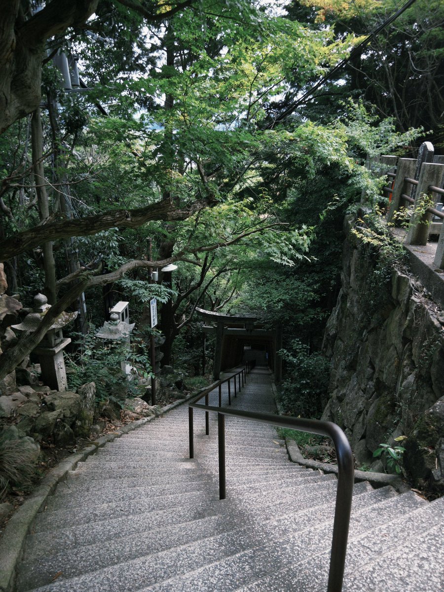 FlyQ99's tweet image. 夏