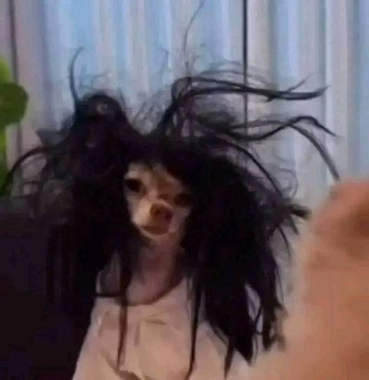 despertando un lunes, super fresca, llena de vida lista para triunfar: