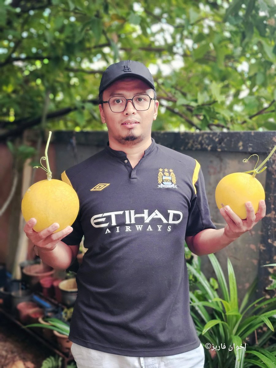 Aktiviti Menuai Hasil 🍈 Demi Menampung Kos Sara Hidup Yang Semakin Meningkat. Mudah-Mudahan Usaha Ini Akan Disokong oleh Kerajaan 🇲🇾. 

#fertigasi
#jabatanpertanian
#melon