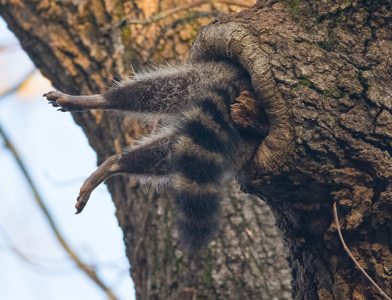 Goodbye hot girl summer, hellllloooo goblin-mode girl fall!