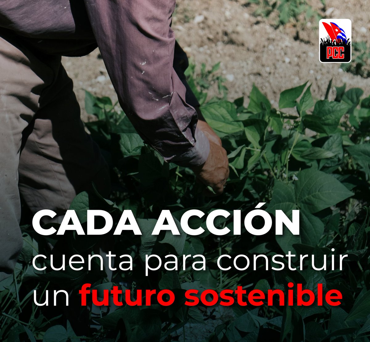 “La Revolución significa: la verdadera justicia, que permite a los hombres adquirir los conocimientos que sirvan para trabajar en beneficio de los demás”

Fidel 

#Cuba