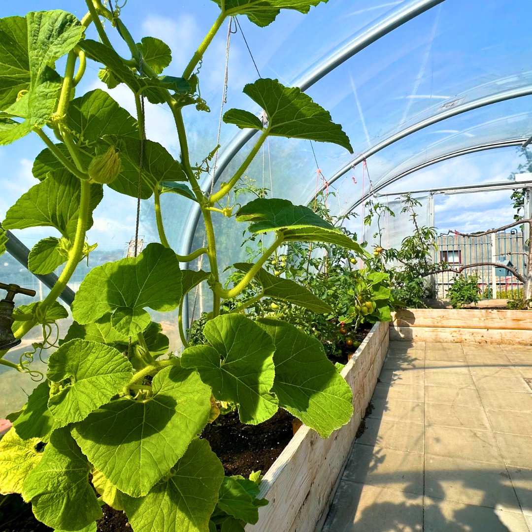 A heartfelt thank you to <a href="/dunnhumby/">dunnhumby</a> staff for their generous support at the NRH. They helped in the OT Garden by organising potting sheds, clearing weeds, and turning compost, ensuring the garden is ready for patients. We appreciate your dedication of a CSR day to assist us. #CSR