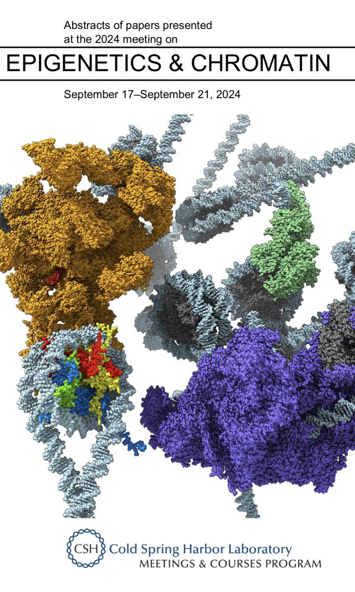 Anja Groth 🇺🇦 (@groth_anja) on Twitter photo Looking forward to a week with great science at the CSHL Epigenetics and Chromatin meeting <a href="/cshlmeetings/">CSHL Meetings</a> outstanding lineup 🙌 with keynotes by <a href="/AsifaAkhtar1/">Asifa Akhtar</a> and <a href="/helin_kristian/">Kristian Helin</a> Looking forward to a week with great science at the CSHL Epigenetics and Chromatin meeting <a href="/cshlmeetings/">CSHL Meetings</a> outstanding lineup 🙌 with keynotes by <a href="/AsifaAkhtar1/">Asifa Akhtar</a> and <a href="/helin_kristian/">Kristian Helin</a>
