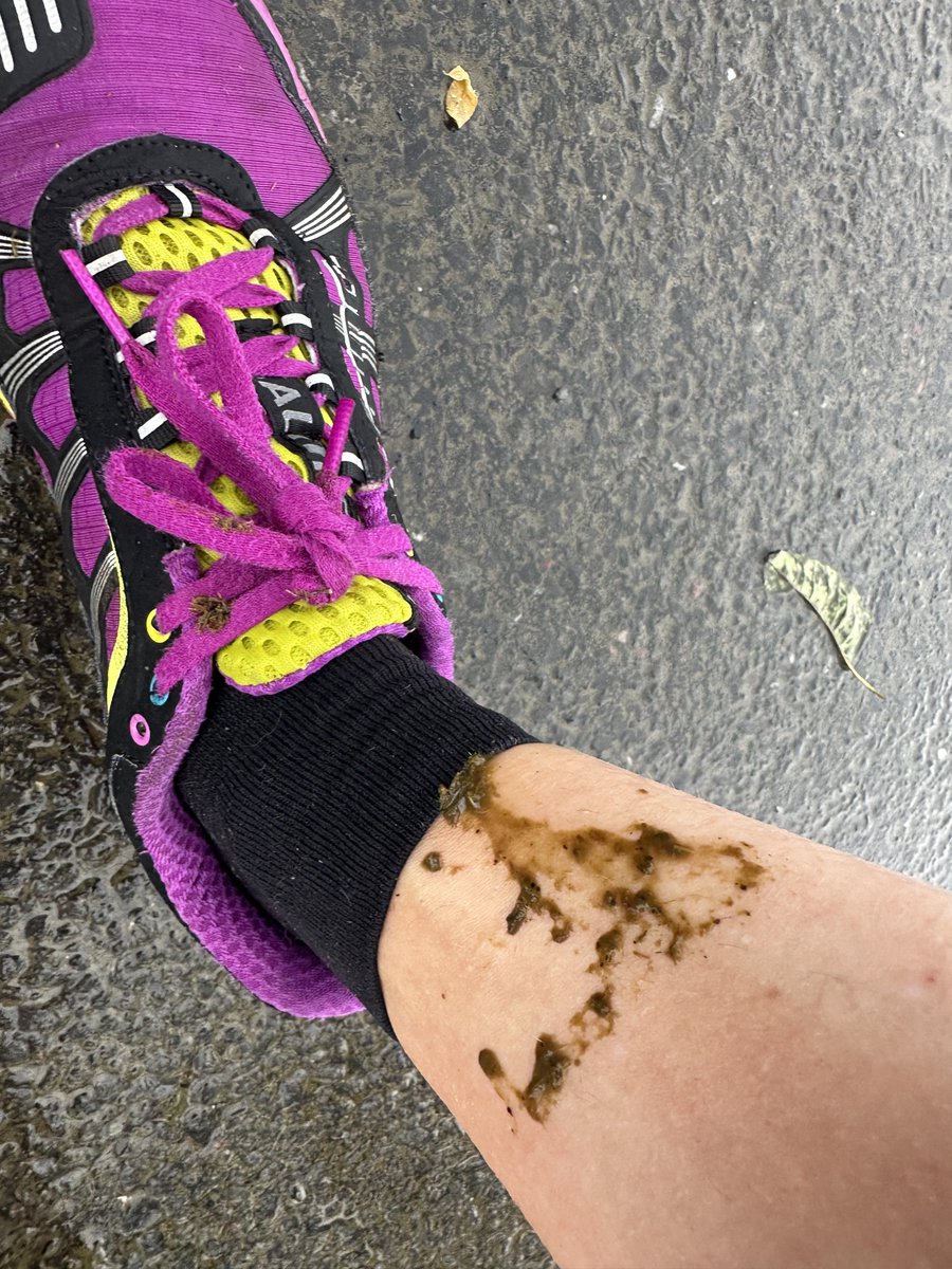 myknowledgemap's tweet image. We&apos;re running the Yorkshire 10 Mile @runforall to raise money for @CR_UK. So far training has seen us nearly get urinated on by a cow, a sprained ankle, and torrential rain that ended in a cow poo incident… *sigh* bit.ly/3YlebVo

DONATE: justgiving.com/team/myknowled…