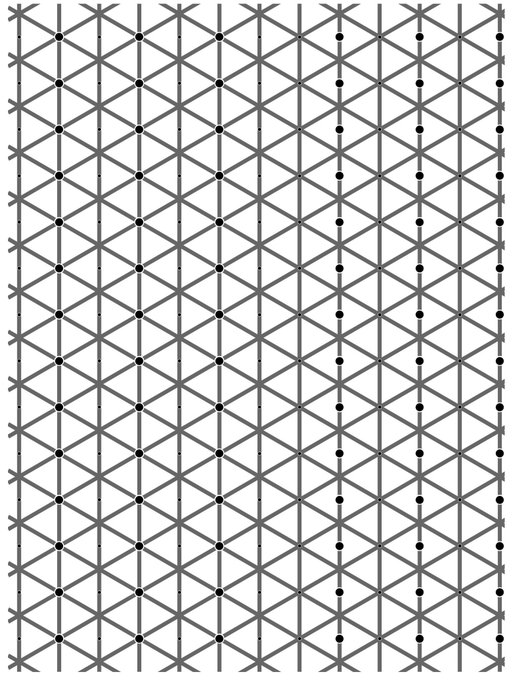 The extinction illusion: the left side and the right side have the same number of black dots.