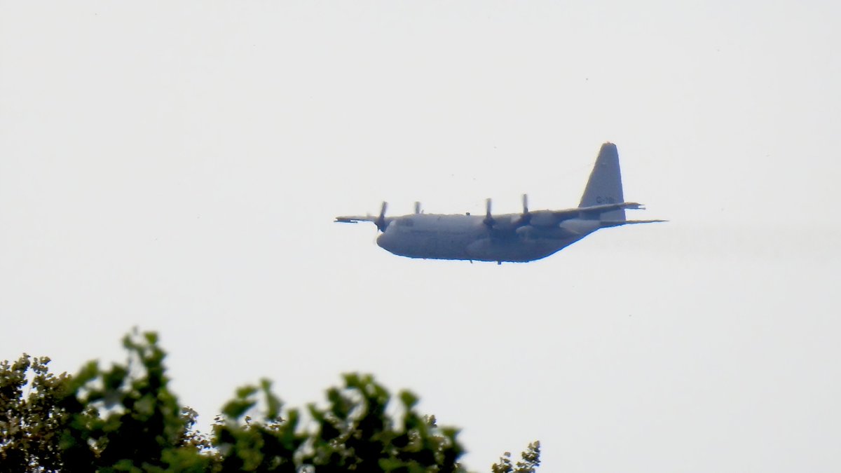 EHSBspotter's tweet photo. Spotted my first set of #FalconLeap participants:
Royal Netherlands Air Force Lockheed C-130H G-781 #ROGUE11 and G-988 #ROGUE13, Polish Air Force CASA C-295M 020 #PLF040 (1/2)
#FalconLeap https://t.co/gbcQ3t4qbU