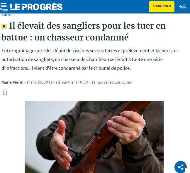 Le Klan du Loup tweet media