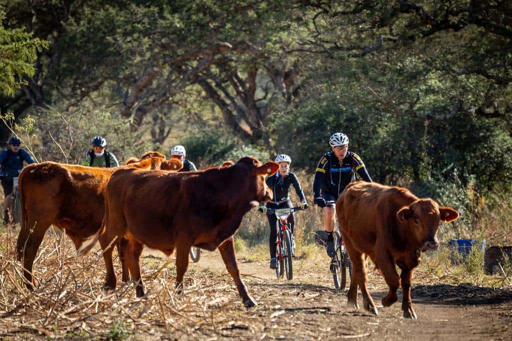 AfricanSafariC2's tweet photo. Three Tree Hill:Another exciting Mountain Bike Adventure event is taking place in our area next year. Get your entry in and you could choose to stay wit... https://t.co/c0hUbXZcyo
#SBBergandBush
#bergandbush2025 #readytoride #betweenthebars #mtblife #drakensbergexperience https://t.co/YK8NCGm27P