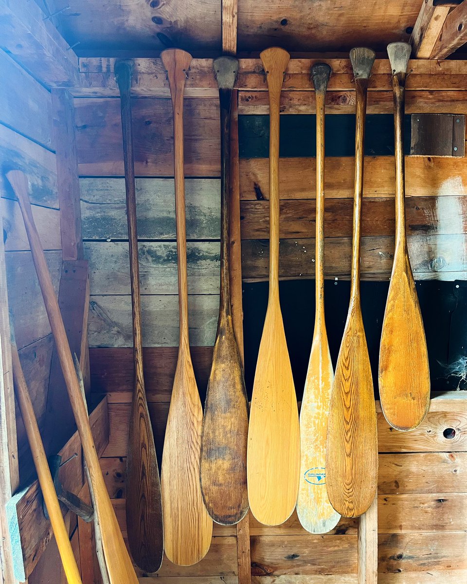 rwestonliterary's tweet image. When I write ed letters, ms notes, or line edits, I often explain why I am making those notes. My goal is to help writers, not just with the story at hand, but with the craft of writing, to provide them with tools for next time, and the time after that.#myprocess #bookeditor(1/3)