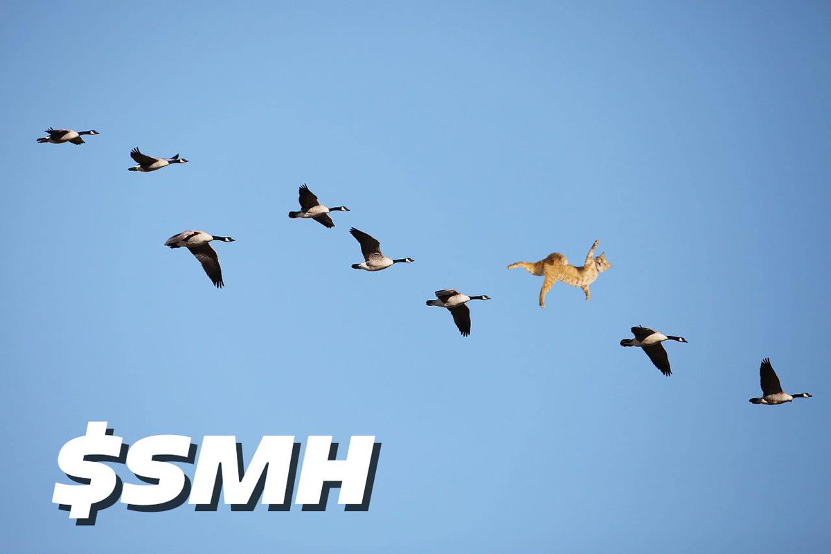 xiogod's tweet image. There's no average in $SMH wake up sleeping man they are putting you in a ruse.