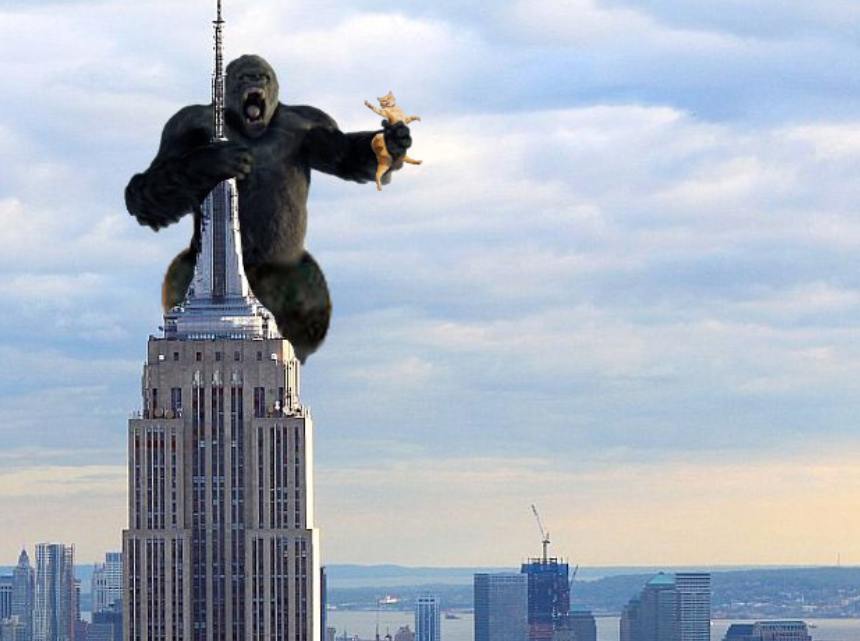 xiogod's tweet image. I see a bright future ahead with $SMH,
Who else is ready🥱