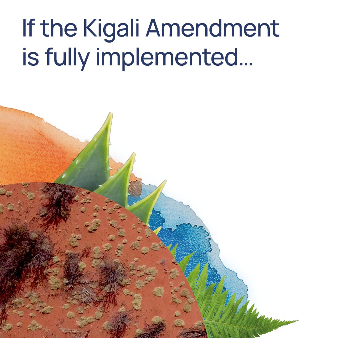 ibrahimthiaw's tweet image. On 16 September, we come together to celebrate #OzoneDay, recognizing the global commitment to heal the ozone layer. 

Healthy lands depend on climate stability, and phasing out hydrofluorocarbons (HFCs) under the #KigaliAmendment helps mitigate global warming, which protects