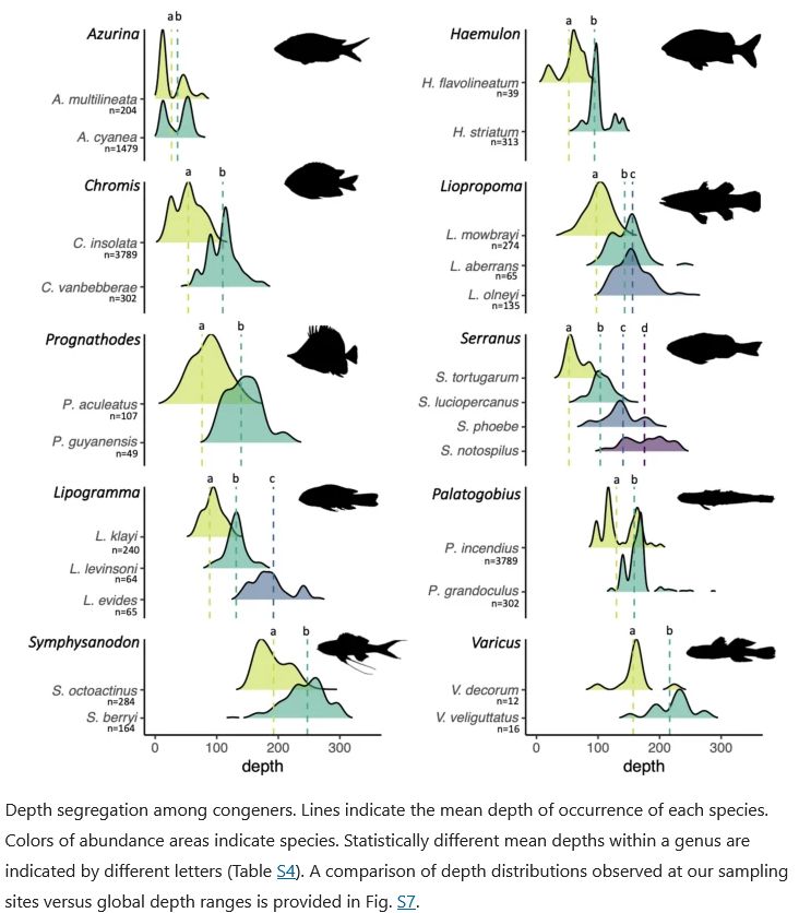 Joachim Claudet (@joachimclaudet) on Twitter photo 🚨Paper Alert🚨
Vertical structure of #Caribbean deep-#reef #fishes from the altiphotic to #DeepSea boundary.
doi.org/10.1038/s41598…
<a href="/CNRS/">CNRS 🌍</a> <a href="/CNRSecologie/">CNRS Écologie & Environnement</a> <a href="/psl_univ/">Université PSL</a> <a href="/EPHE_PSL/">École Pratique des Hautes Études - PSL</a> 🚨Paper Alert🚨
Vertical structure of #Caribbean deep-#reef #fishes from the altiphotic to #DeepSea boundary.
doi.org/10.1038/s41598…
<a href="/CNRS/">CNRS 🌍</a> <a href="/CNRSecologie/">CNRS Écologie & Environnement</a> <a href="/psl_univ/">Université PSL</a> <a href="/EPHE_PSL/">École Pratique des Hautes Études - PSL</a>