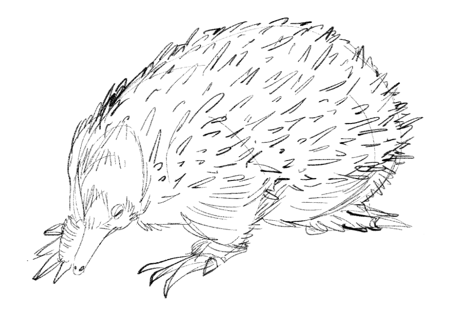 12catttt's tweet photo. sketch https://t.co/WWNTZT8Ki2