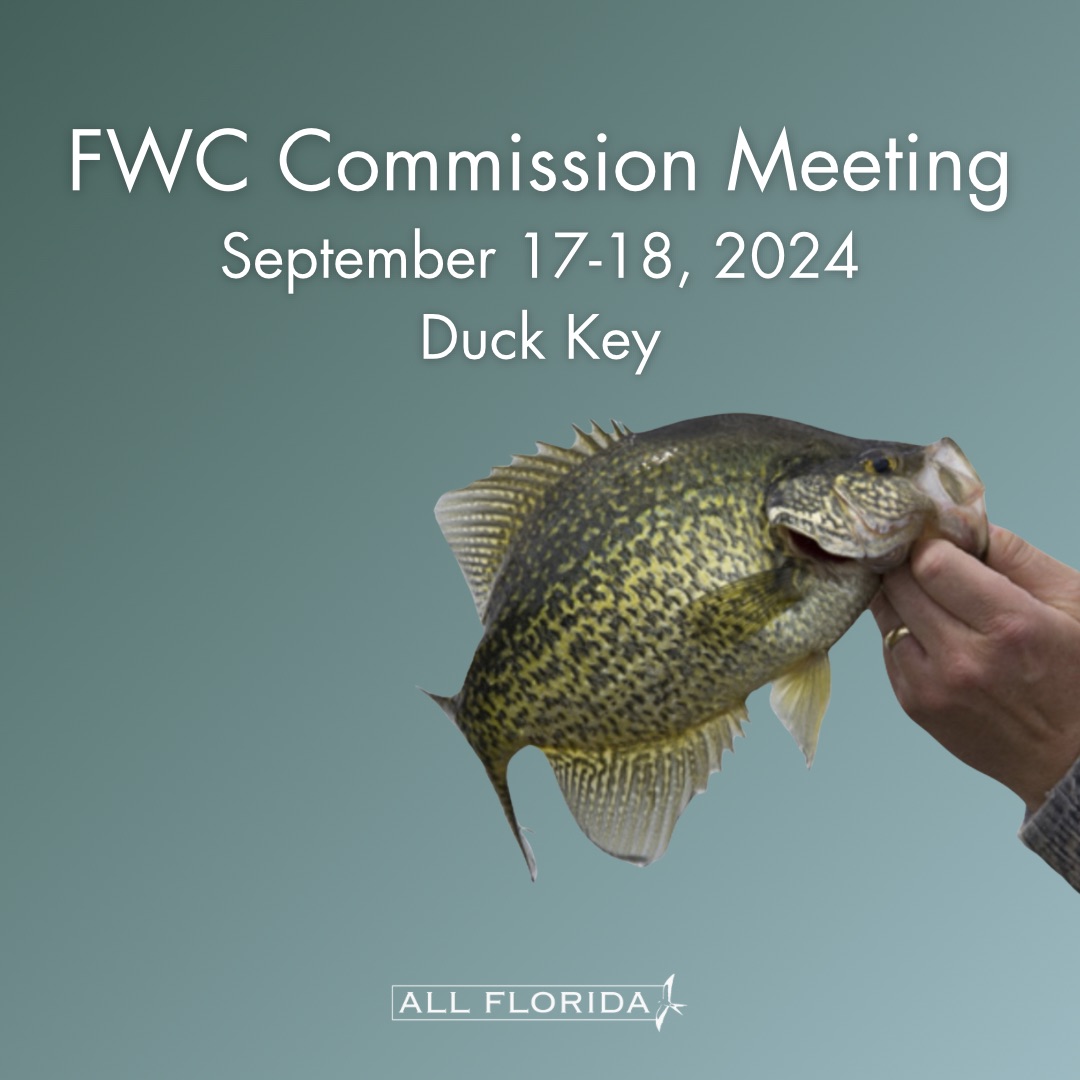 allflaorg's tweet photo. This week we’re in the Keys . . . A long way to go, but worth it for the opportunity to show up for our Florida! https://t.co/rR2z1JgH7A