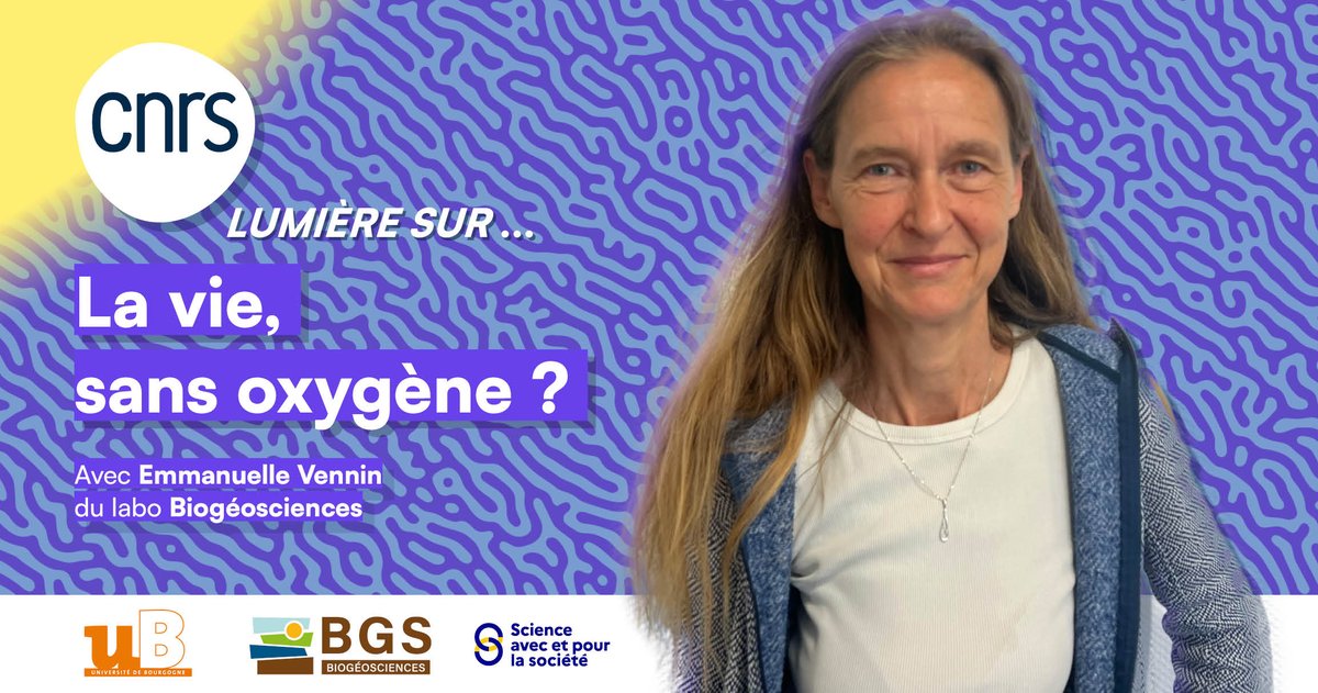 CNRS Centre-Est (@cnrs_centre_est) on Twitter photo #Podcast🦠| De la vie sans oxygène ? Vous saviez que c'était possible il y a plus de 2,5 milliards d'années ?
Ecoutez notre dernier podcast <a href="/LumiereSur_CNRS/">Lumière sur…</a> avec Emmanuelle Vennin du labo Biogéosciences à <a href="/dijon/">Ville de Dijon</a> !
herolinks.ca/CNRS_Centre-Est #Podcast🦠| De la vie sans oxygène ? Vous saviez que c'était possible il y a plus de 2,5 milliards d'années ?
Ecoutez notre dernier podcast <a href="/LumiereSur_CNRS/">Lumière sur…</a> avec Emmanuelle Vennin du labo Biogéosciences à <a href="/dijon/">Ville de Dijon</a> !
herolinks.ca/CNRS_Centre-Est