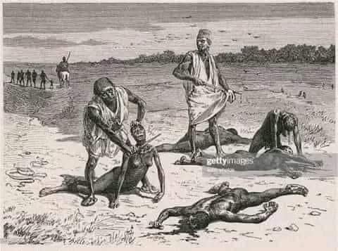 How Arab became occupiers in North Africa. All lies will be exposed in 2024.